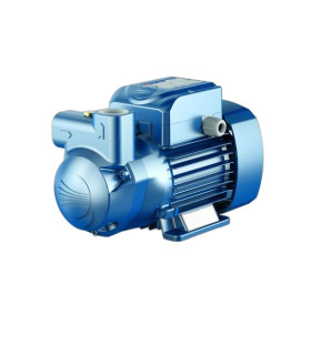 BOMBA TRASEGAR COMBUSTIBLE 0.75HP 110V 60BP4307 (PEDROLLO)