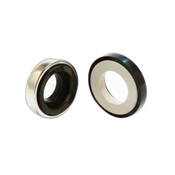 SELLO MECANICO BT-AR 14 B2PFF-XP (CPM620) (PEDROLLO)