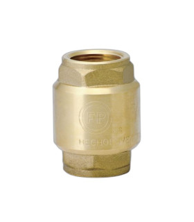 VALVULA CHECK 2 1/2" (FP)